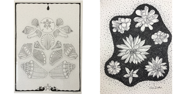 Shells and Potted plants